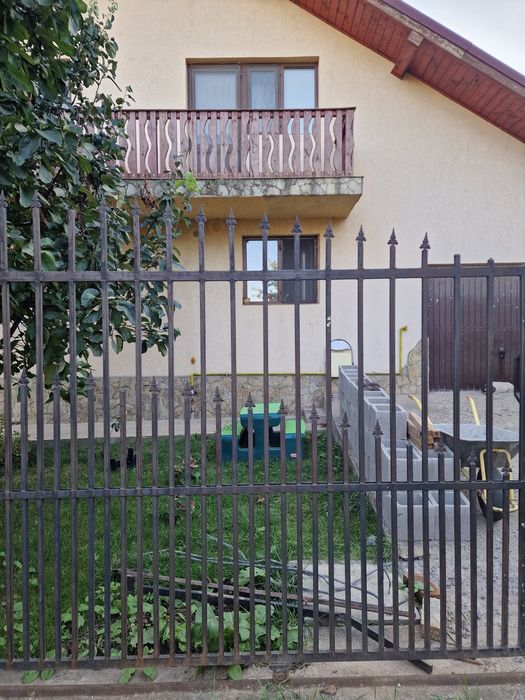 Poartă mare și mică din fier