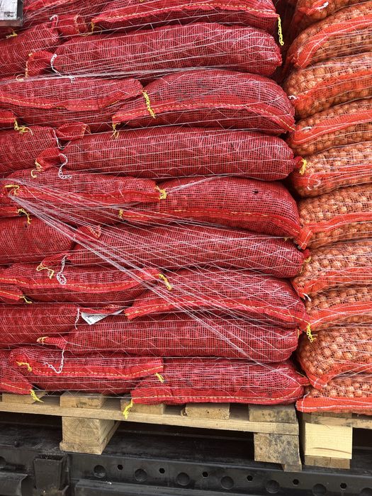 Vand arpagic stuttgarter reisen olanda