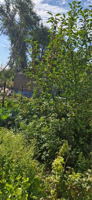 Срочно продам дачу