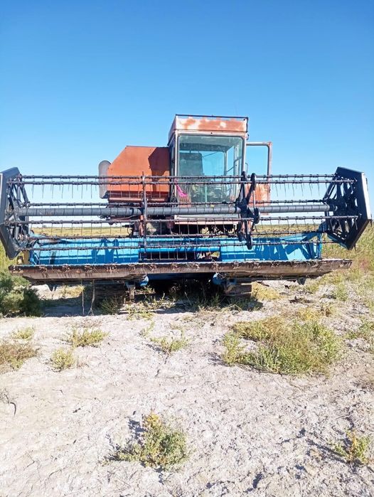 Енесей жатка гусинечный