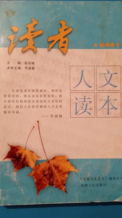 Технический словарь (кит-рус) 2 т + книги