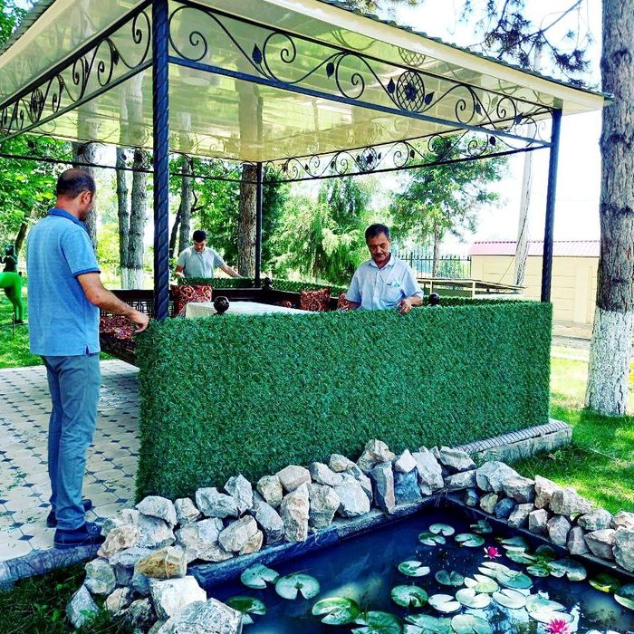 "Ҳовлингизни Безанг, Қўшниларингизни Ҳайратда Қолдиринг!"