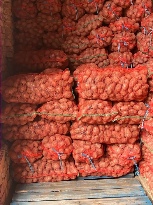 Cartof consum si samanta Riviera ,Rivola, Carrera, Arizona