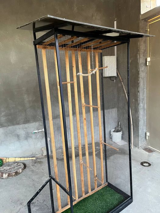 Кафас сотилади холати йенги