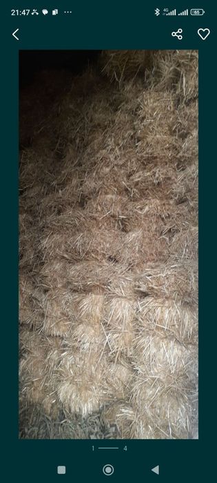 Somon pres sotiladi 20.000 dan  beda pres sotiladi 25.000