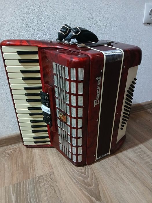 Acordeon parrot 60 basi