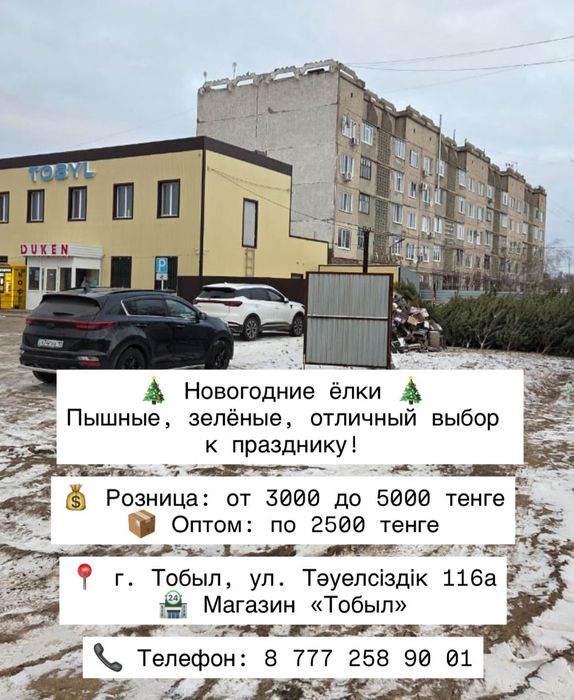 Елки в наличии по 3000 оптом