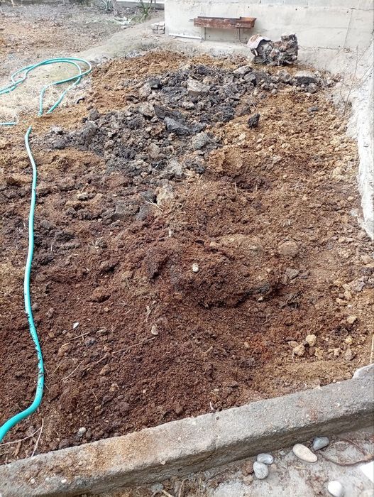 Угит чириган таёр сотилади