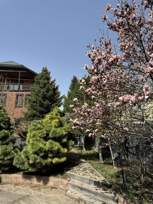 Посуточная аренда дома