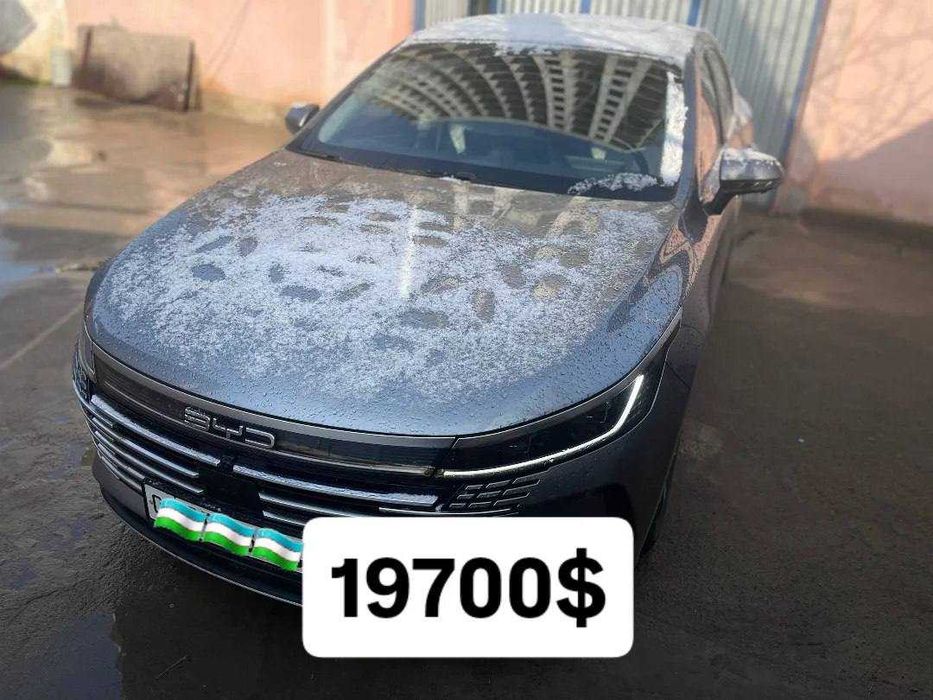 BYD Chazor Flagship (120 km full)