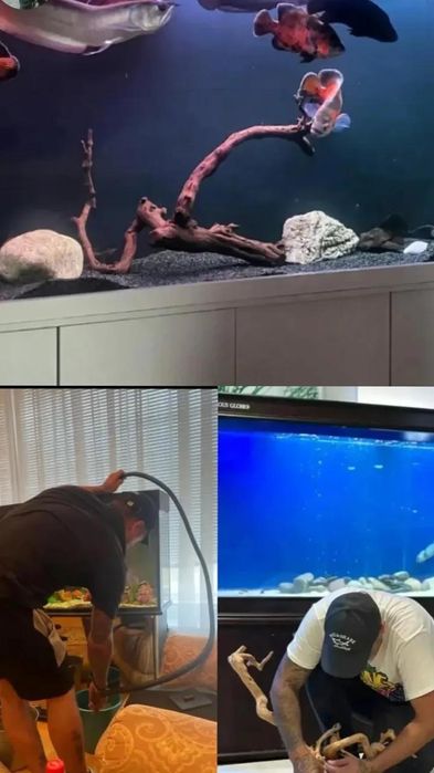 Аквариумные услуги чистка