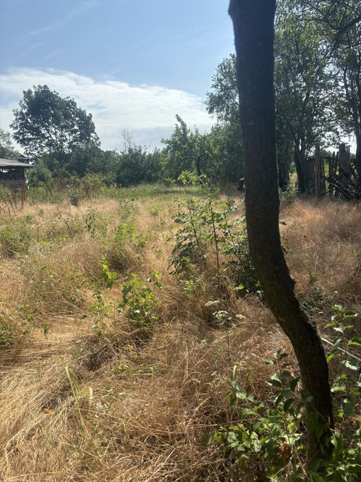 Vand urgent Teren intravilan