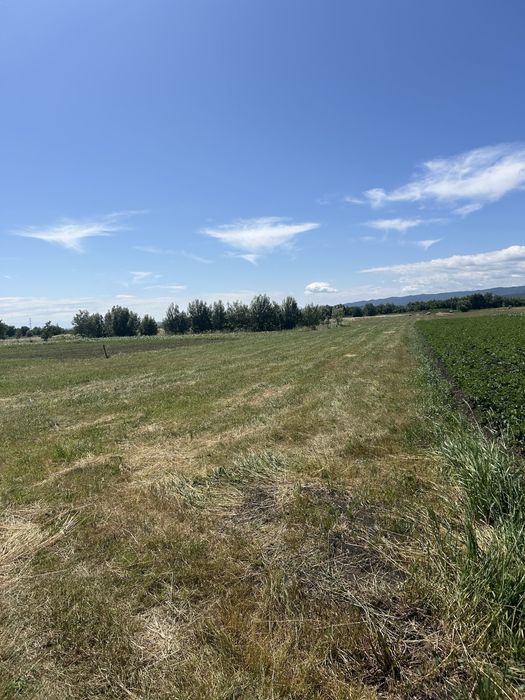 Vand teren intravilan Fantana Mare 4.500 mp