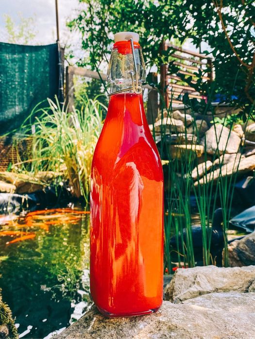 Kombucha ceai fermentat