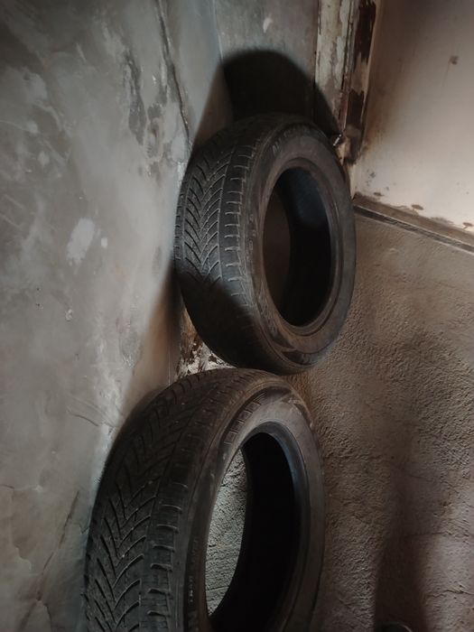 14 balon 2ta holati yaxshi