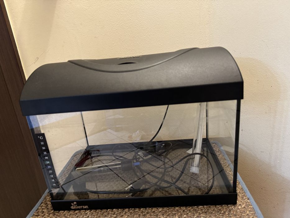 Acvariu Diversa 25x40x25 cm