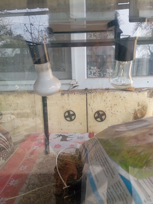 Продам Террариум