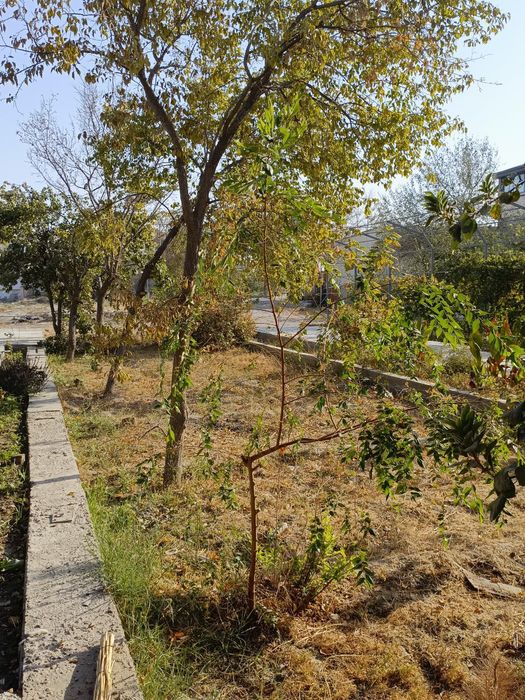 Buxoro shahar sharq 1