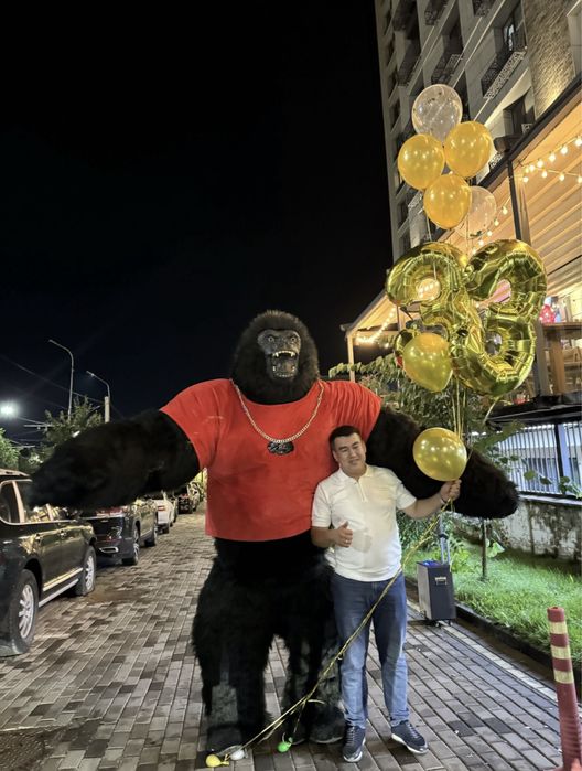 Горилла 8.000 Умка Панда Бурый медведь