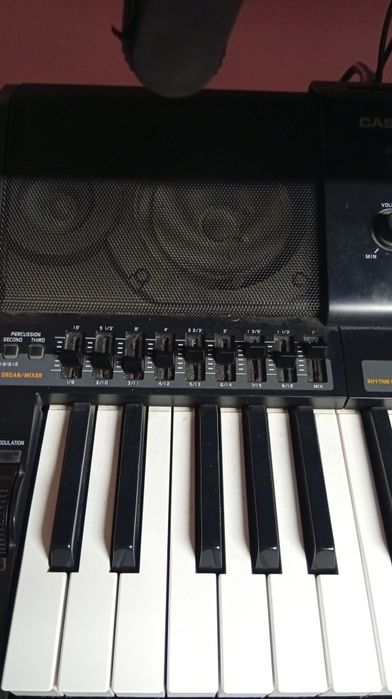 Sintetizator Casio MZX 300