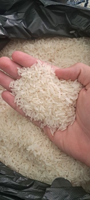 Bek Lazer guruch – sifatli va mazali osh uchun