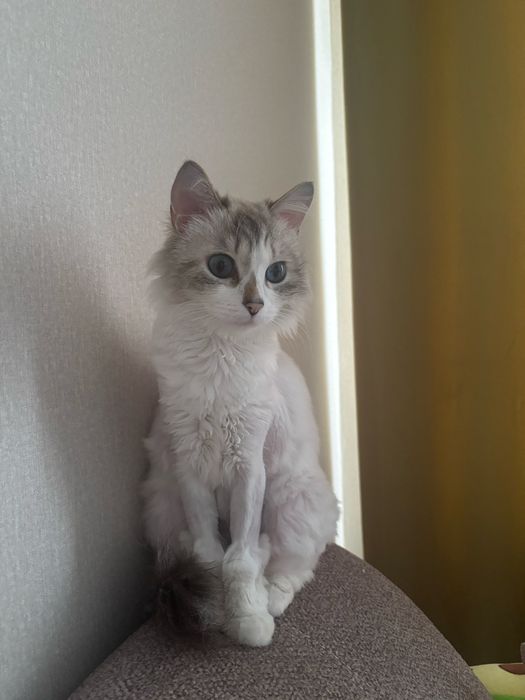 В самые заботливые руки