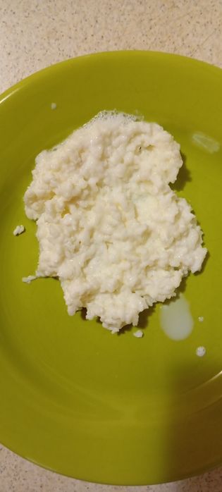 Ciupercă de kefir/chefir - 20 lei porția. Ridicare din București, sect