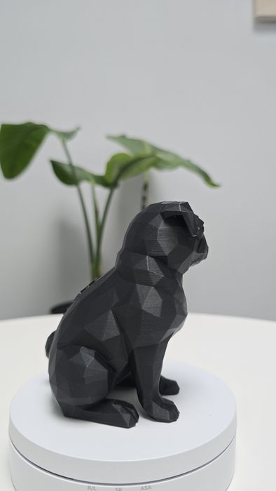 Caine Mops Low poly