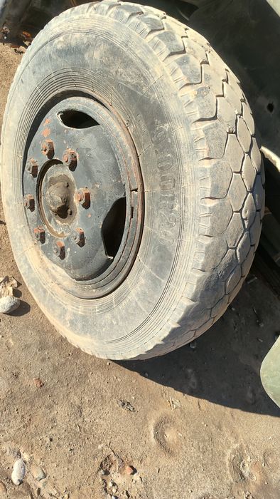 Zel Deska bolan  6dona