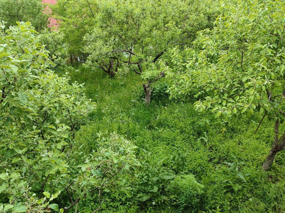 Участок под дачу