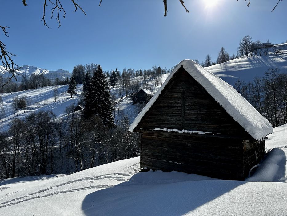 Teren Simon Bran 2.9ha, vedere panoramica, acte la zi