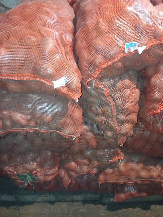 Продам картофель.