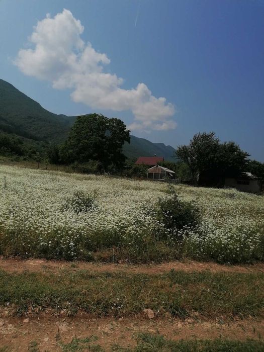 Продава парцел гр. Враца, кв. Бистрец