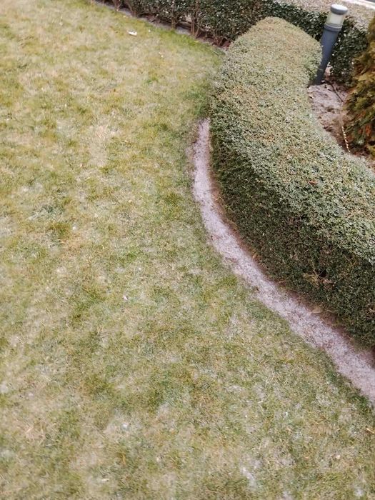 Рязане на овошки, оформяне на дървета