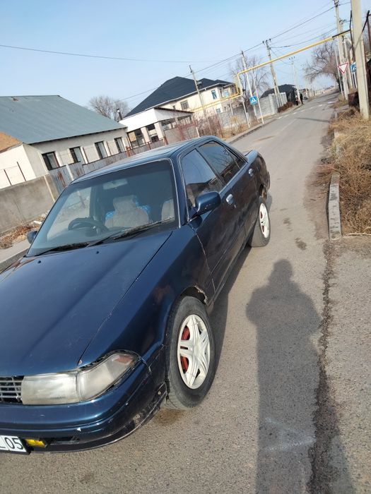 Продам Таета Карина