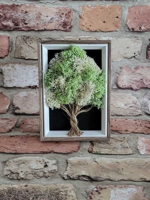 Картини от скандинавски мъх