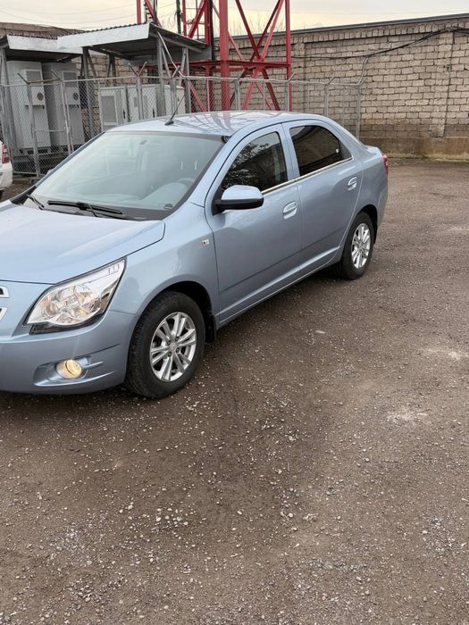 кобальт сотилади йили 2020 делфин