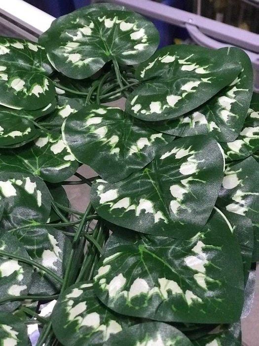 Лианы искусственные