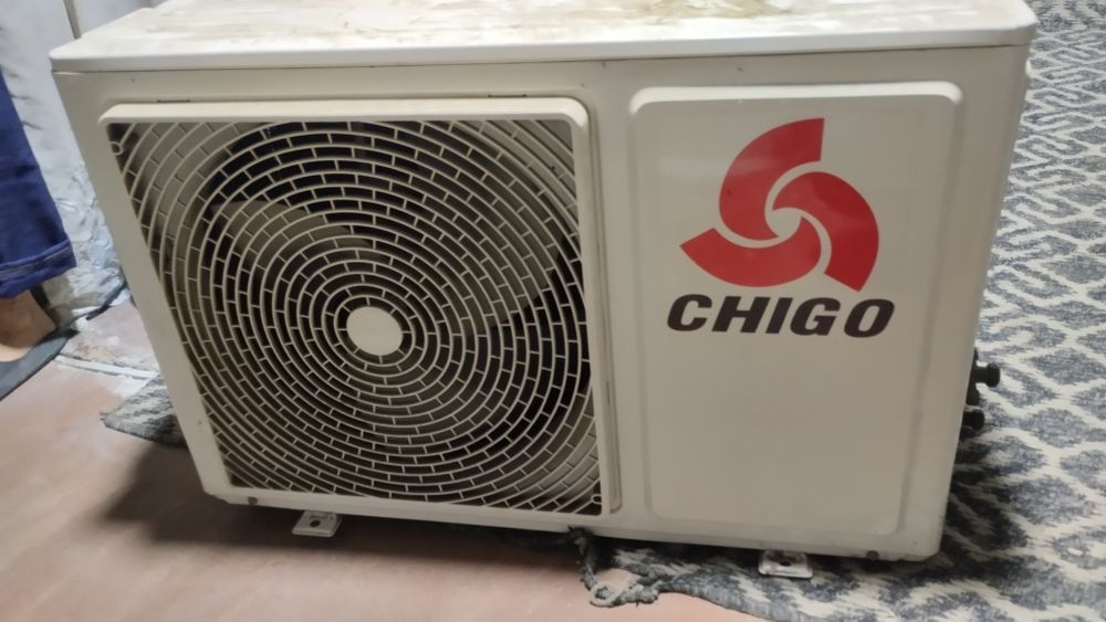 Kandisaner chigo