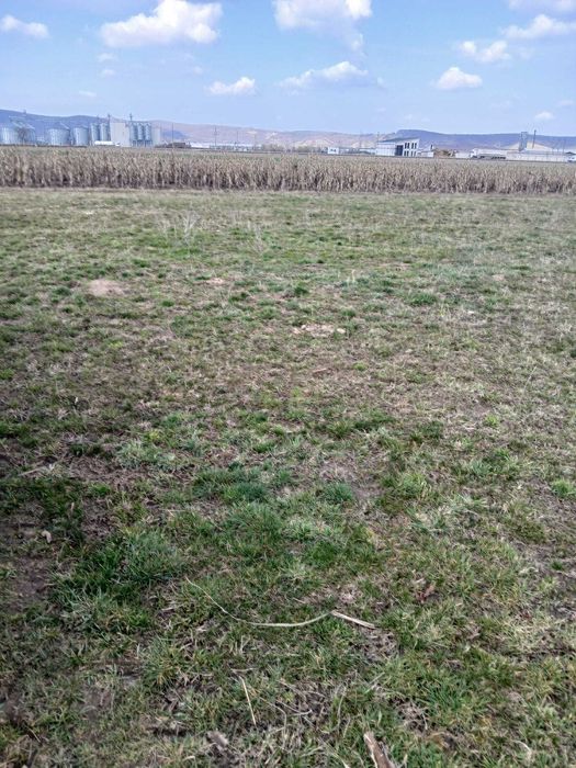 Vand teren 11 500 MP langa comuna Cristian, Sibiu