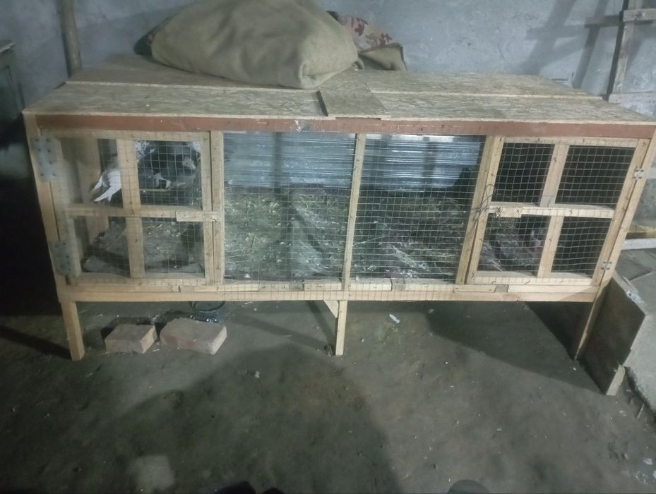 Quyon katak sifatli xizmat