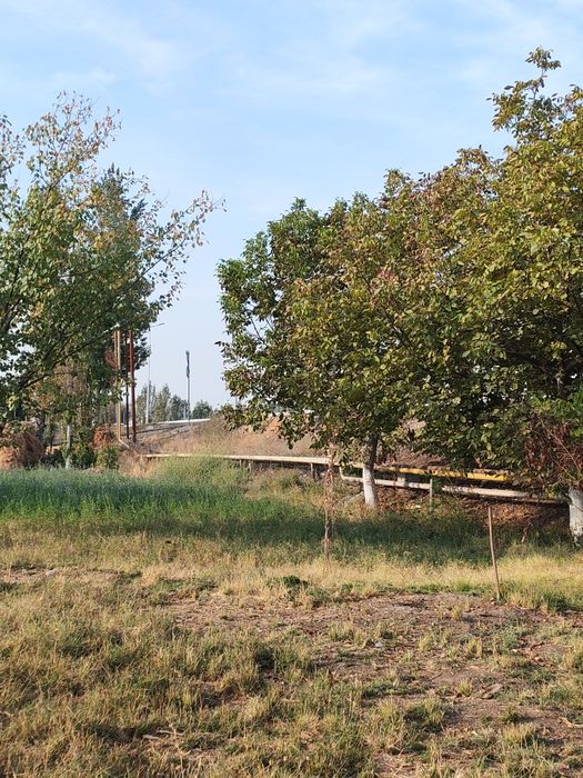 Uchaska Nurafshon. Shahridan