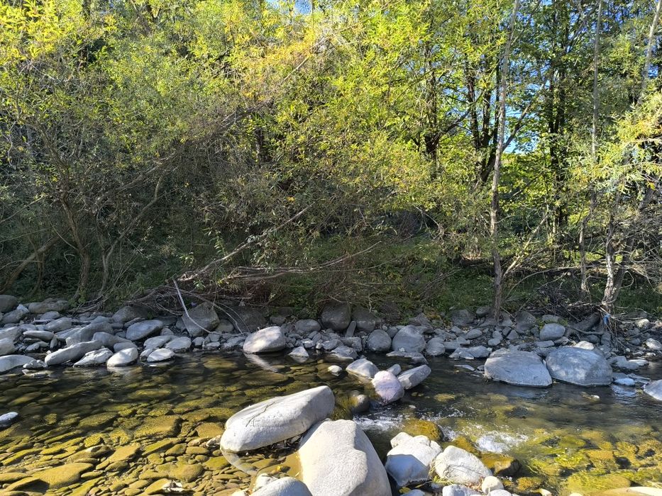 Продава се Парцел в с. Черни Осъм, Област Ловеч - 3150 кв.м за 3 €/кв.м - Снимка #5