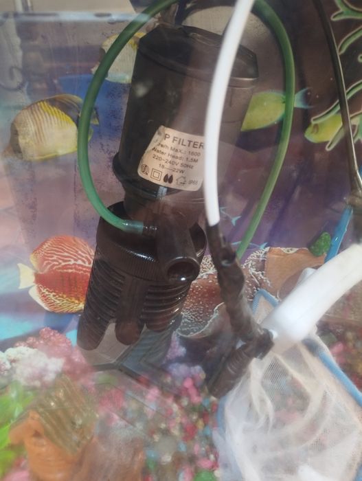 Аквариум Все набор есть