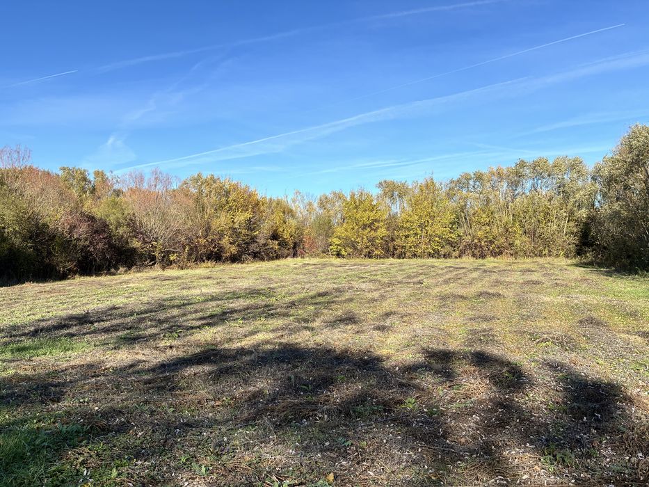 Teren intravilan 2.000 mp – Movila, Niculești, Dâmbovița