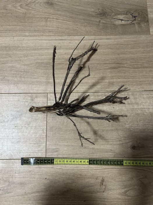 Vand radacini decorative pentru acvariu