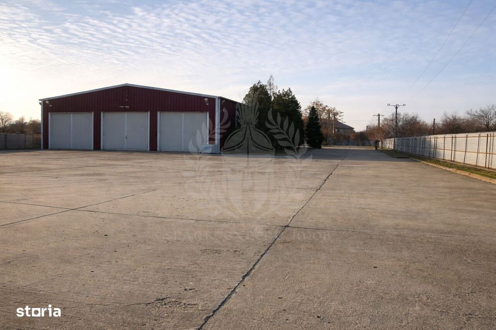 Inchiriere Hala Industriala 450 mp, Bucov - 4,5 euro/mp