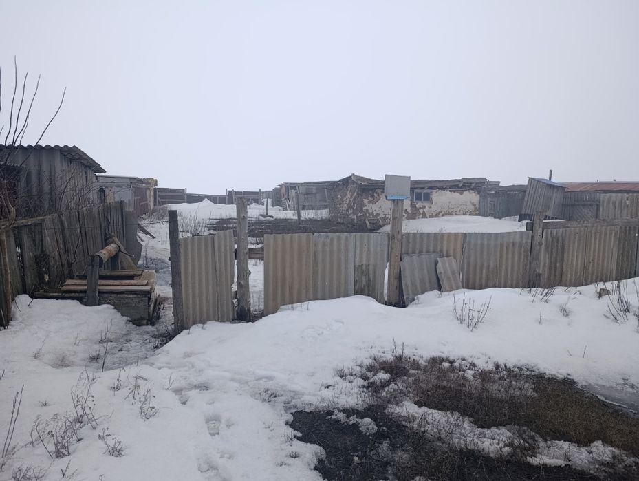 Уй сатылады Чижа 2 Продам