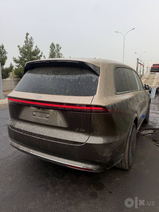Lixiang Livis l9 premium