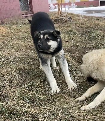 Пацанчик – не хулиганчик